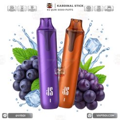 พอตใช้แล้วทิ้ง Ks Quik Disposable Pod 6000 Puffs [แท้]